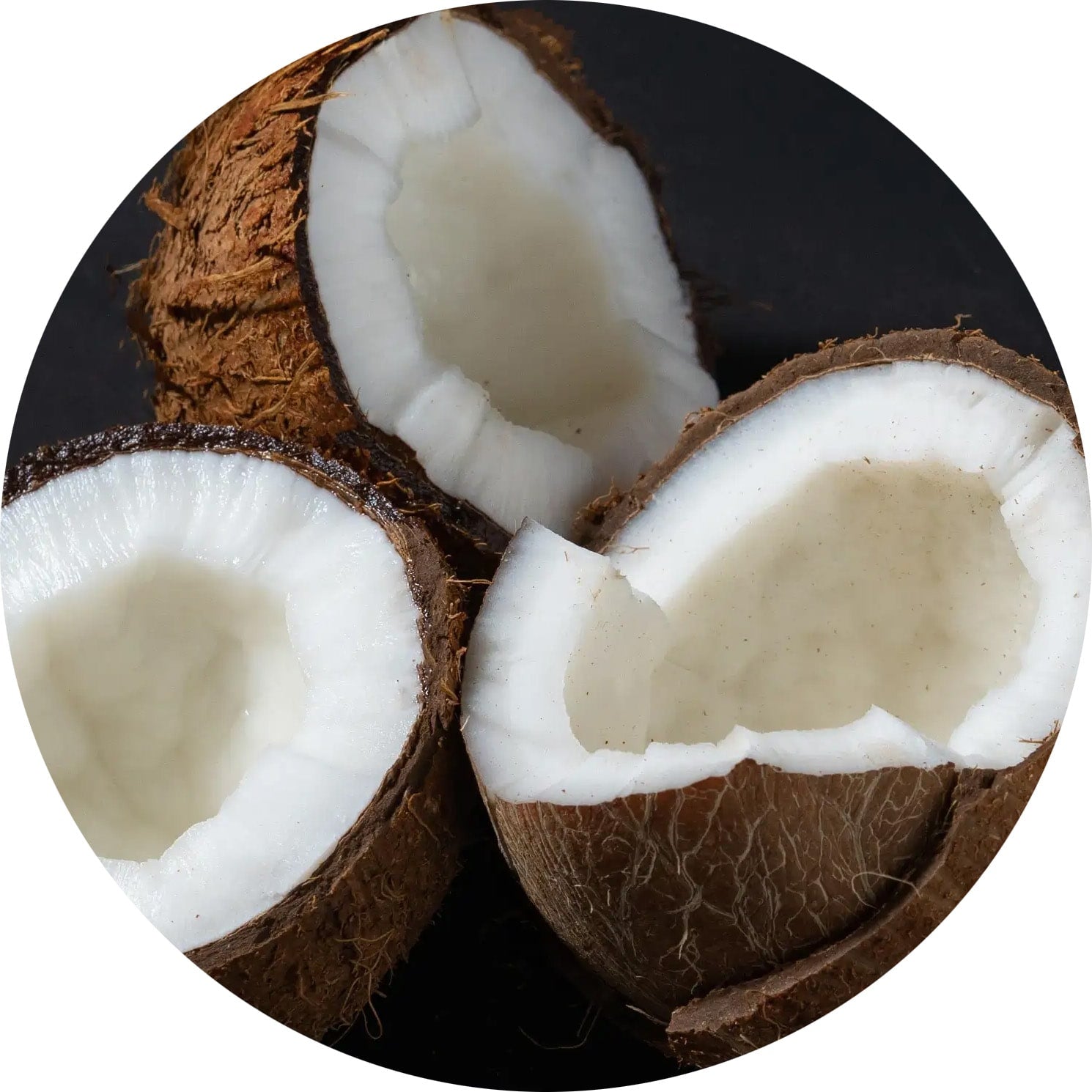 photo of three half pieces of coconut