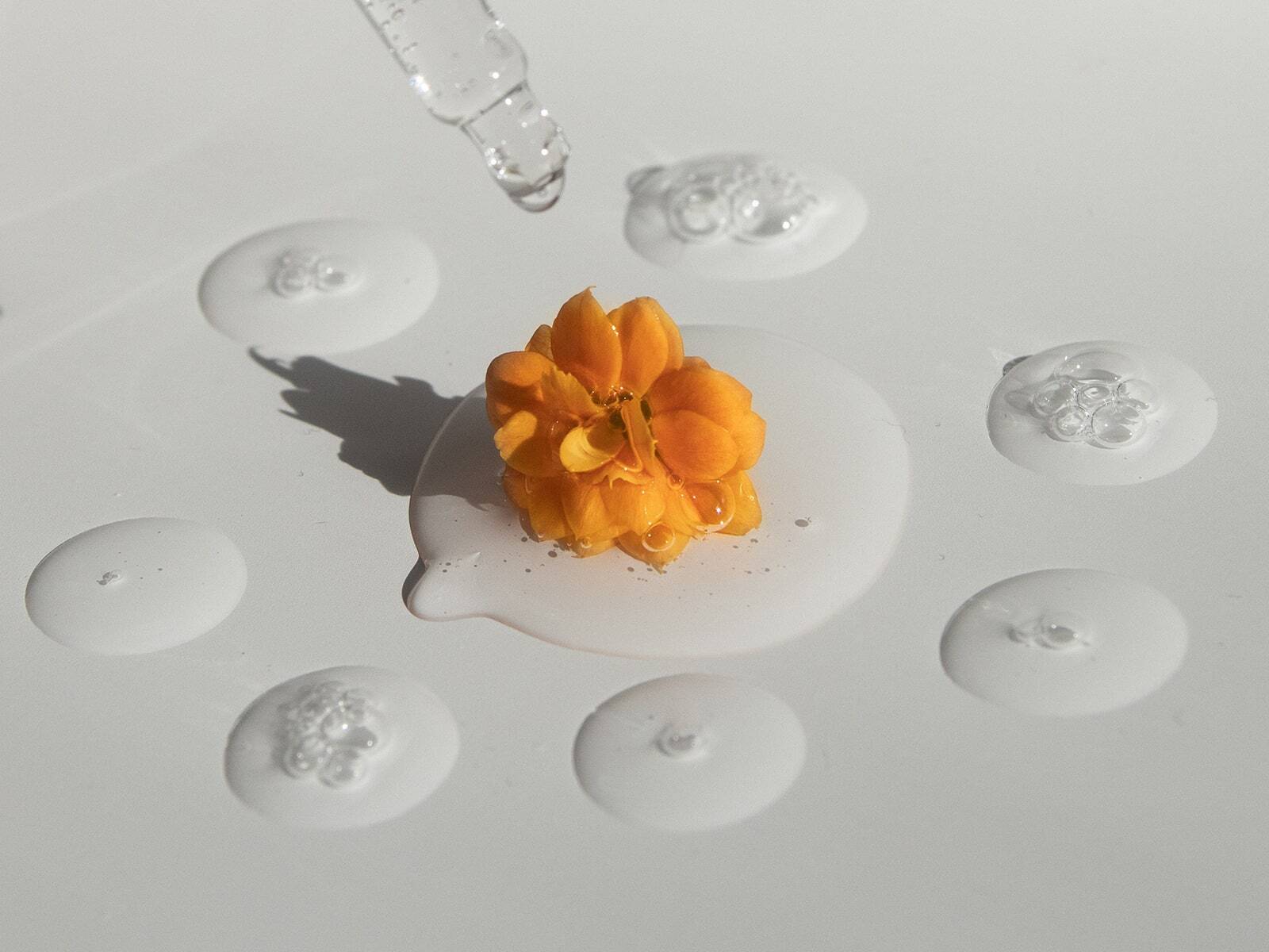 photo of drops of clear liquid surrounding an orange flower